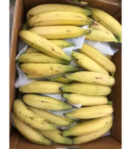 Ripe yellow Kerala Nenthran banana