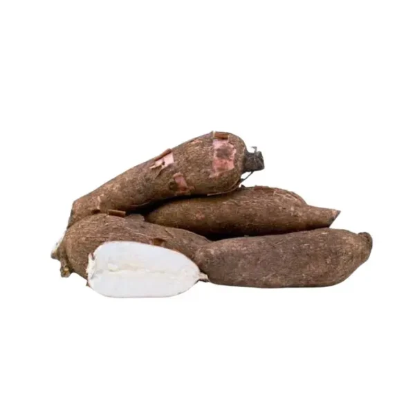 Fresh Kappa Tapioca Root