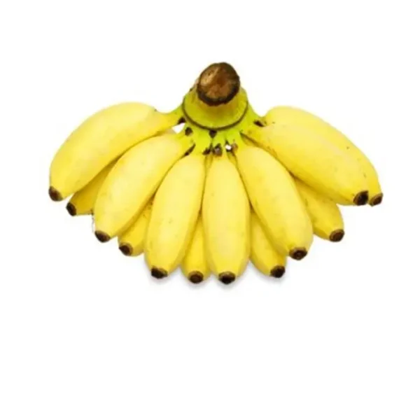 Kerala small Njali banana fresh sweet fruit