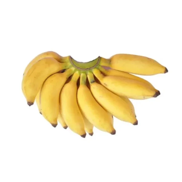 Kerala Njali banana fresh sweet banana