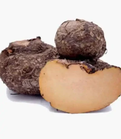 Fresh Chena Suran elephant foot yam Kerala vegetable