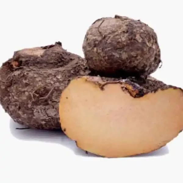 Fresh Chena Suran elephant foot yam Kerala vegetable