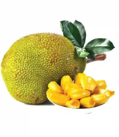 Fresh Kerala jackfruit chakka tropical fruit