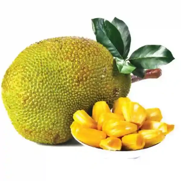 Fresh Kerala jackfruit chakka tropical fruit