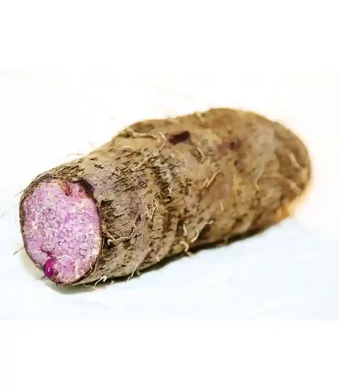 Kachil Purple Yam – Kerala Root Vegetable Fresh Kerala kachil purple yam vegetable