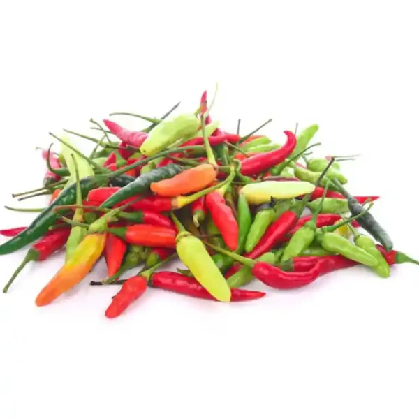 Kerala Kanthari Mulagu bird’s eye chilli