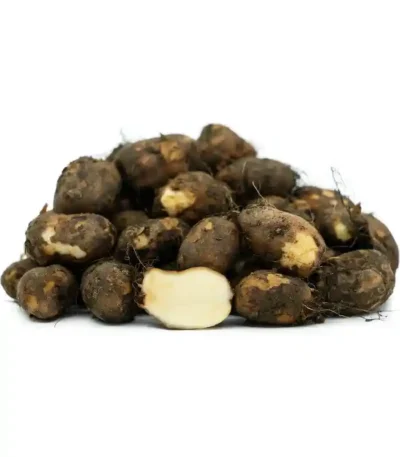 Fresh Kerala Koorka Chinese potato vegetable