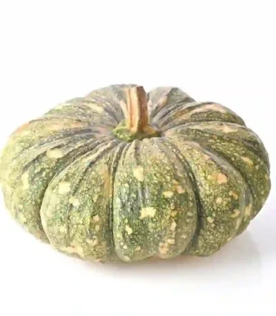 Fresh Kerala green mathan pumpkin vegetable
