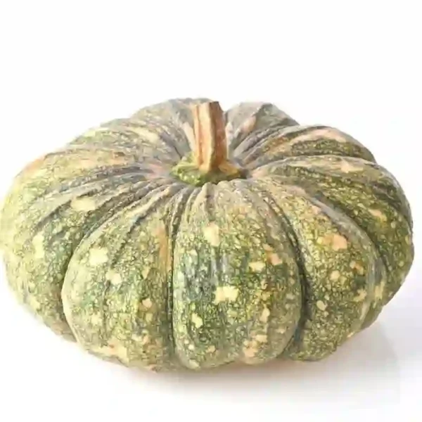 Fresh Kerala green mathan pumpkin vegetable