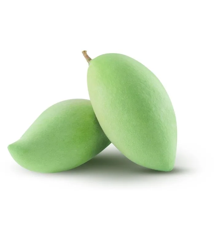Raw Mango Pacha Mango – Kerala Green Mango Fresh raw mango pacha mango Kerala green mango