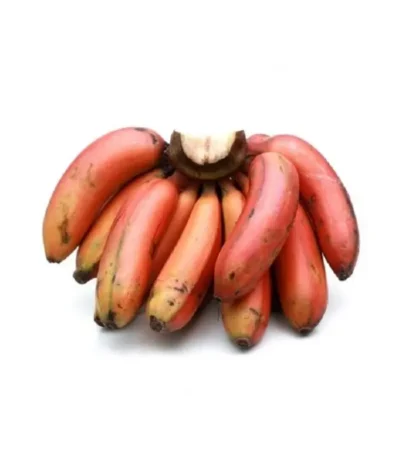 Kerala red poovan banana fresh fruit