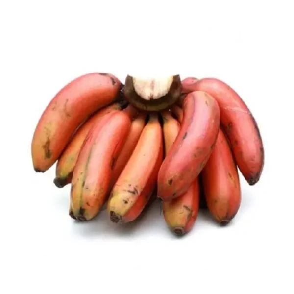 Kerala red poovan banana fresh fruit