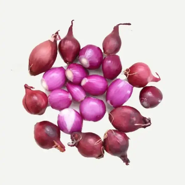 Fresh Kerala small onion shallots vegetable