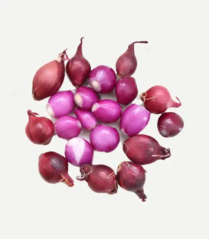 Small Onion Shallots – Kerala Cooking Ingredient Fresh Kerala small onion shallots vegetable