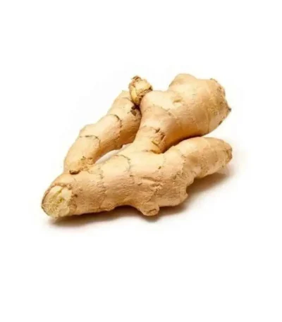 Fresh ginger inji Kerala spice root