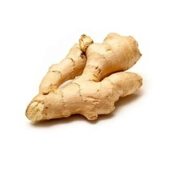 Fresh ginger inji Kerala spice root