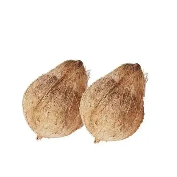 Fresh Kerala coconut whole coconut