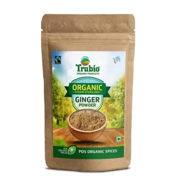 ginger powder dry sonth spice