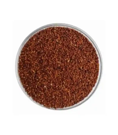 Akha ragi whole finger millet grain healthy