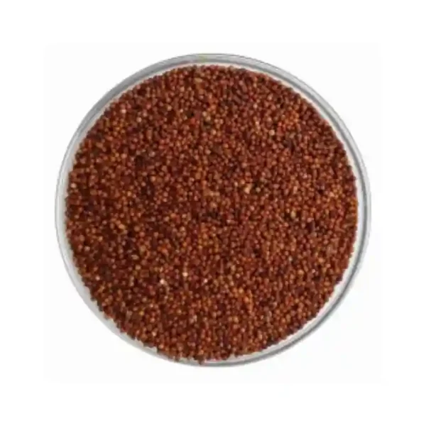 Akha ragi whole finger millet grain healthy